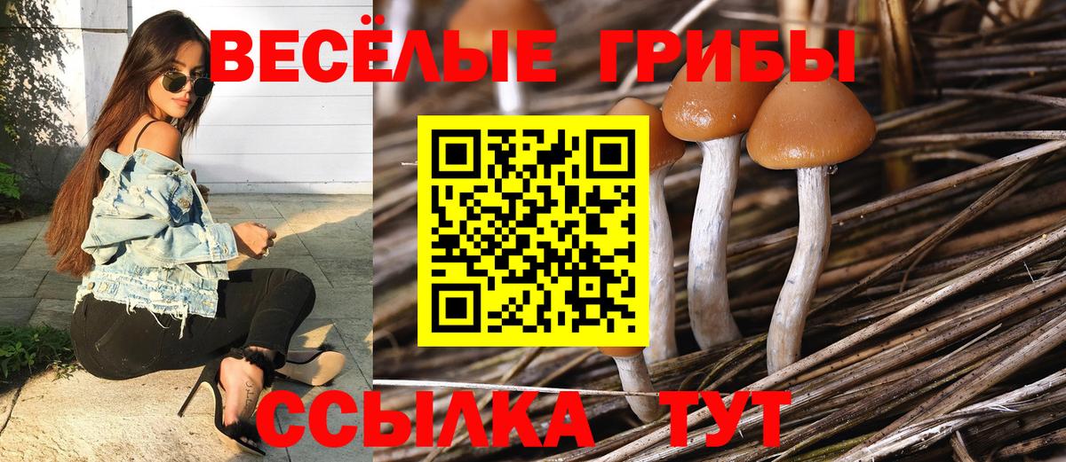 Псилоцибиновые грибы ЛСД  Вход с VPN  что такое   Саранск 