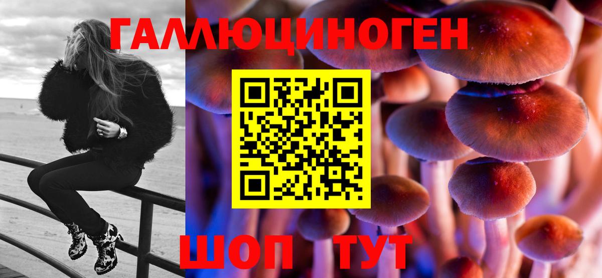 Псилоцибиновые грибы мицелий Саранск